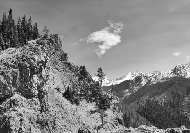 Zdjęcie - WERNISAŻE