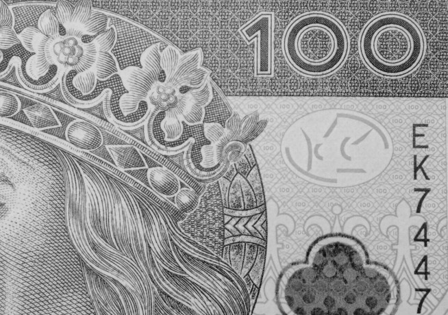 Zdjęcie - PUSTE TŁO